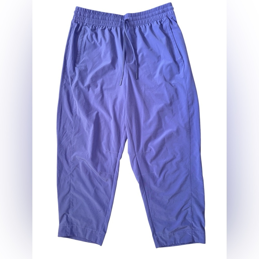 Athleta Arrival Straight Leg Ankle Pants Adonis Purple #586940 size 12